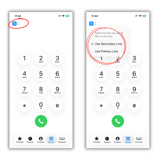 US Phone Number