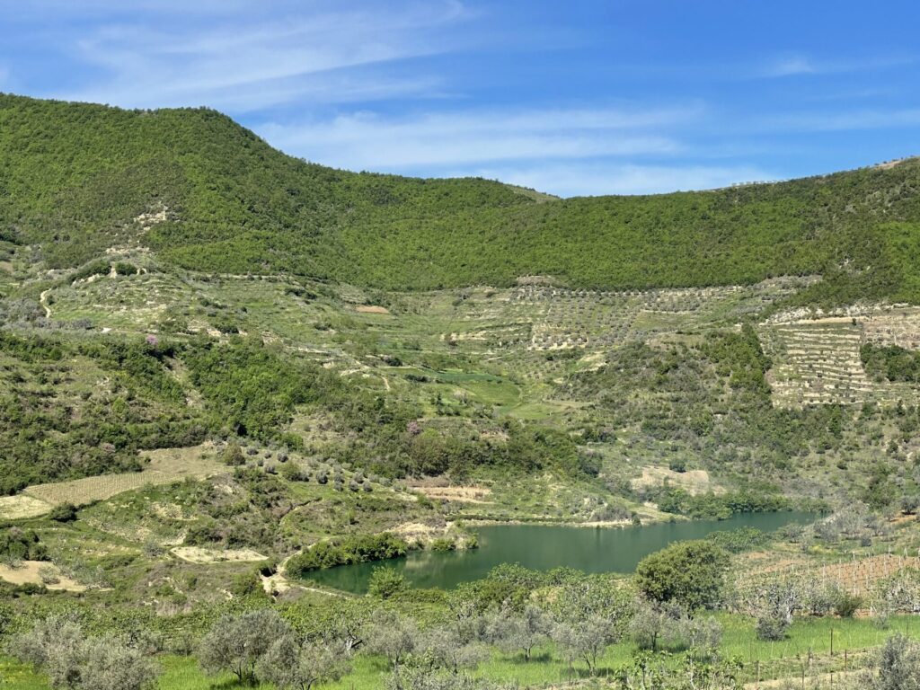 Albania Itinerary, Alpeta Winery