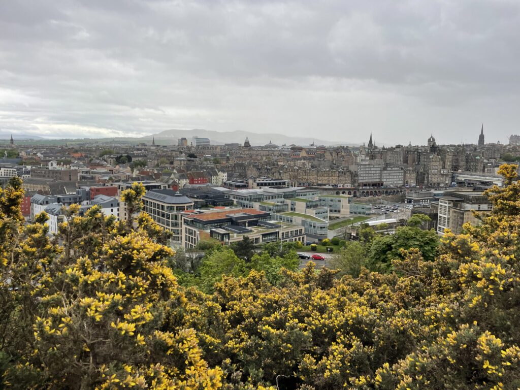 Calton Hill View